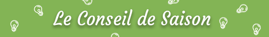 conseil-de-saison.png